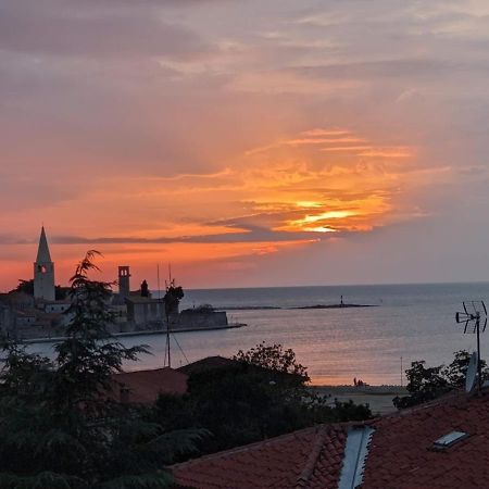 Studio D Poreč Exteriér fotografie